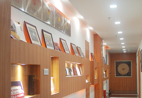 做為國產(chǎn)工業(yè)內(nèi)窺鏡設(shè)備老品牌廠家，深圳亞泰光電深耕工業(yè)內(nèi)窺鏡、工業(yè)管道內(nèi)窺鏡、工業(yè)視頻內(nèi)窺鏡等20余載，自主研發(fā)生產(chǎn)內(nèi)窺鏡產(chǎn)品具有多項發(fā)明專利，內(nèi)窺鏡廠家直銷，價格優(yōu)惠。